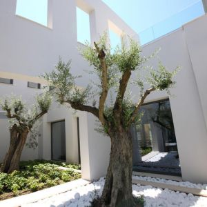 Cavo Olympo Luxury Hotel and Spa