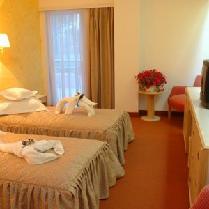 Hotel Central Olanesti