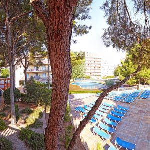 Hotel Club Palma Bay