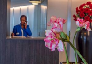 Hotel Golden Donaire Beach
