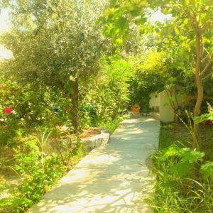 Apartments Adele Studios