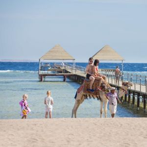 Hotel Amwaj Oyoun Sharm