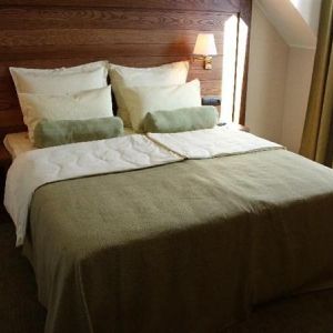Hotel Arena