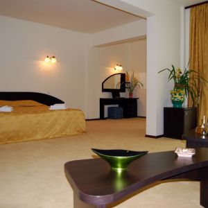 Hotel Poiana Ursului