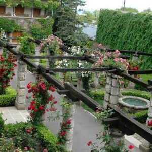 HOTEL SF MARAIA