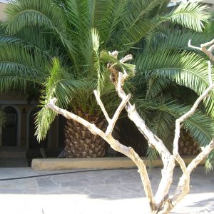 Hotel Aegina