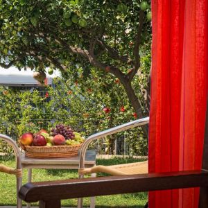 Hotel Malia Holidays