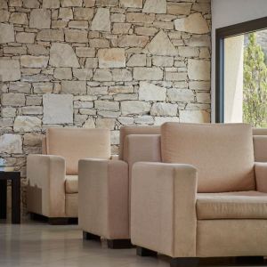 Hotel Elounda Palm