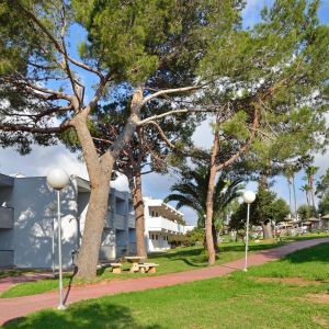Hotel AluaSun Cala Antena