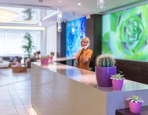 Hotel Kaktus Playa