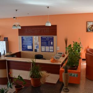 Hotel Callatis Neptun