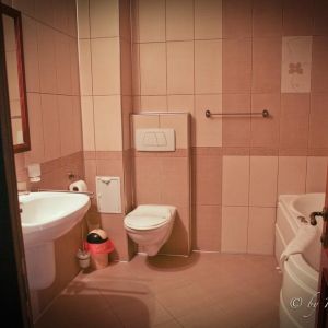 Pensiunea Vlahia Inn