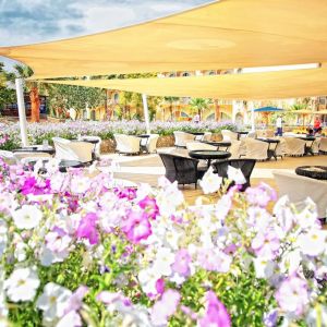 Hotel Desert Rose