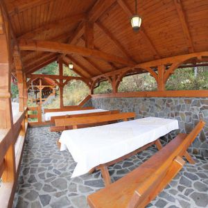 Hotel Paltinis Borsa