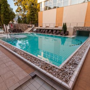 Hotel Termal Baile Felix
