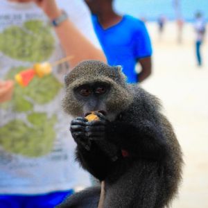 Palumboreef Beach Resort