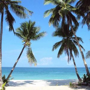 Palumboreef Beach Resort