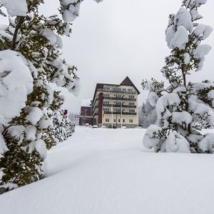 Sarbatori de iarna la Hotel TTS Covasna