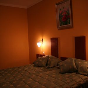 Hotel Conacul Domnesc