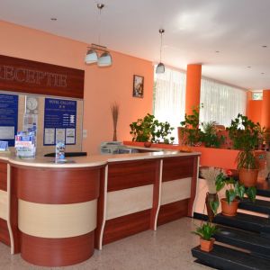 Hotel Callatis Neptun