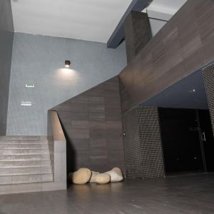 River Side Hotel Spa (Bansko) Ex Villa Roka