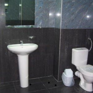 Hotel Confort Otopeni
