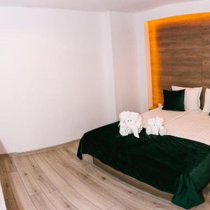 Vila Ursul Negru