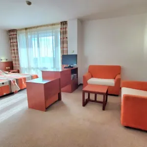 Hotel Fenix
