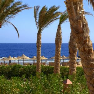 Viva Blue Resort and Diving Sharm El Naga (Adults Only)