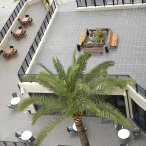 Hotel Joya Benidrom