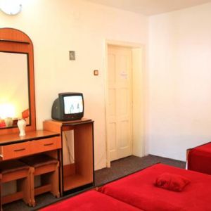 Hotel Bradul