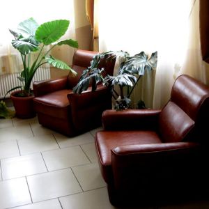Pensiunea Perla Brazilor