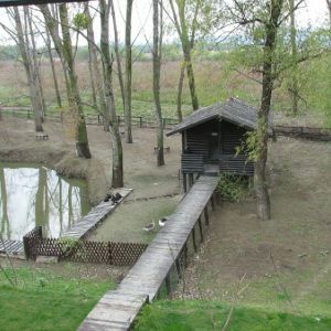 Hotel Dunarea