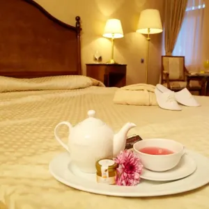 Hotel Festa Winter Palace
