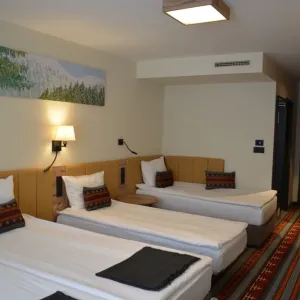 Hotel Rila