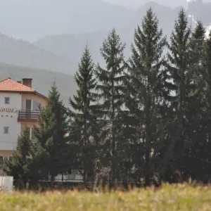 Hotel Mishel