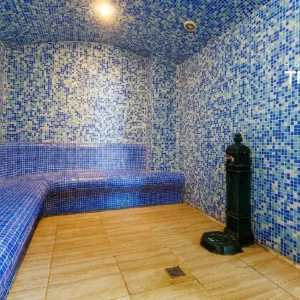 Hotel Traian Caciulata