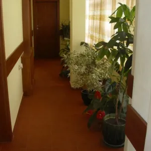 IVEL Family Hotel