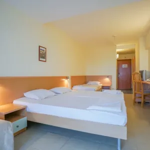 Hotel Delfin