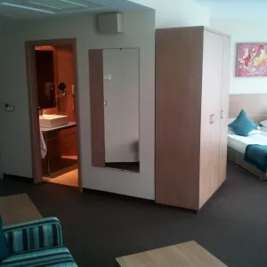 Hotel Azalia Balneo and Spa