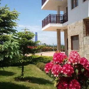 Hotel Saint Thomas Apartments