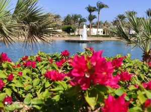 Hotel Pharaoh Azur Resort