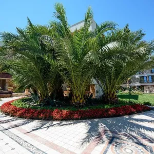 Hotel Iris / Mimoza