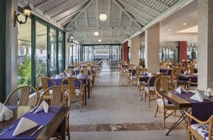 Hotel Aska Just In Beach