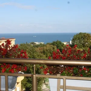 Hotel Joya Park
