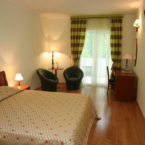 Hotel Romanov