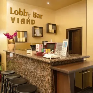 Hotel Viand
