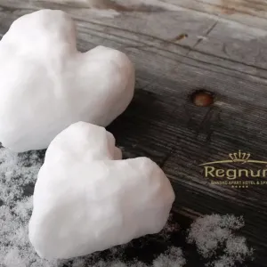 Regnum Aparthotel and Spa