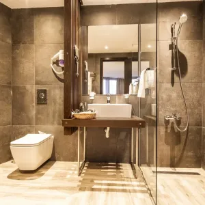 Hotel Orlovets