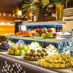 Hotel Orlovets